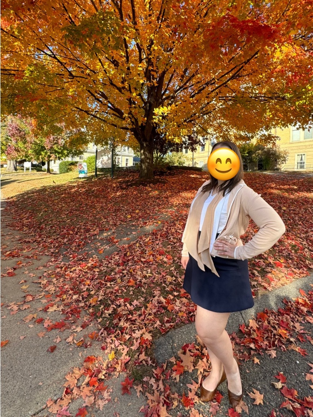 J. Crew Navy A-Line Skirt - Picture 5 of 5